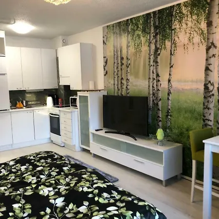 Maisa's Vieremae Apartament *